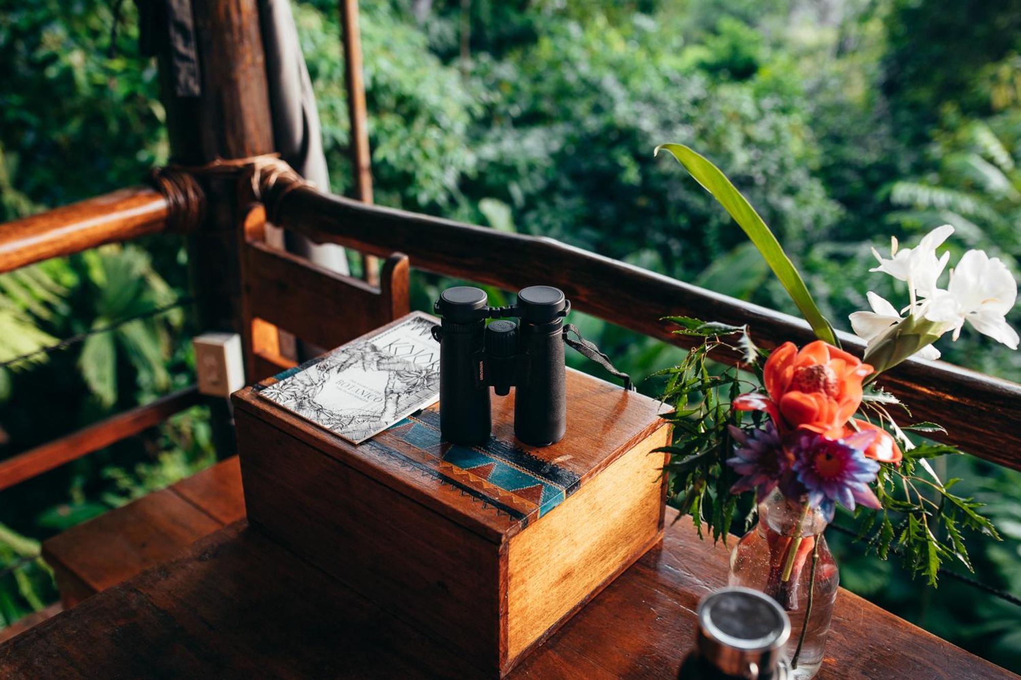 La Loma Jungle Lodge And Chocolate Farm Μπόκας ντελ Τόρο Εξωτερικό φωτογραφία