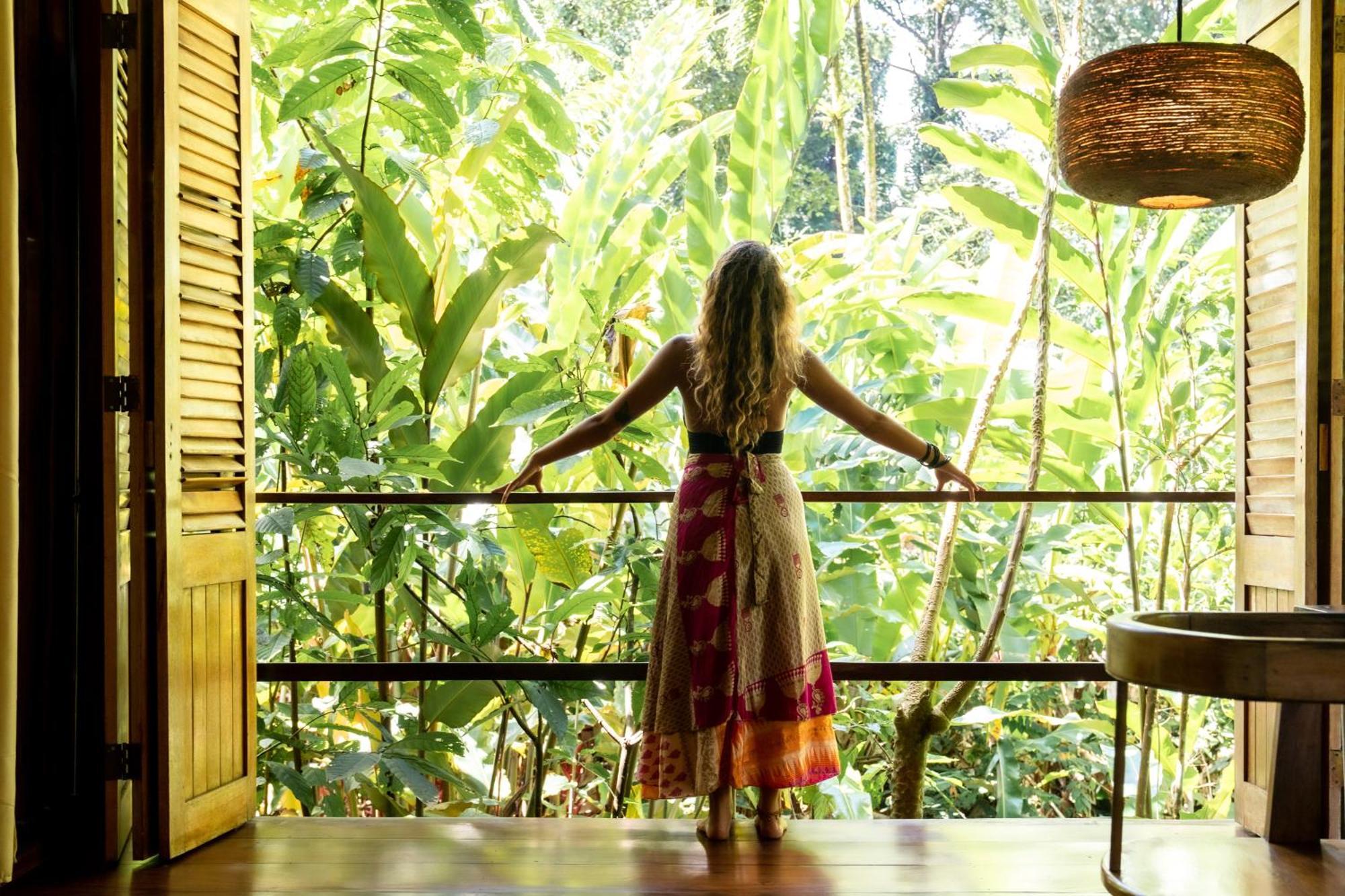 La Loma Jungle Lodge And Chocolate Farm Μπόκας ντελ Τόρο Εξωτερικό φωτογραφία